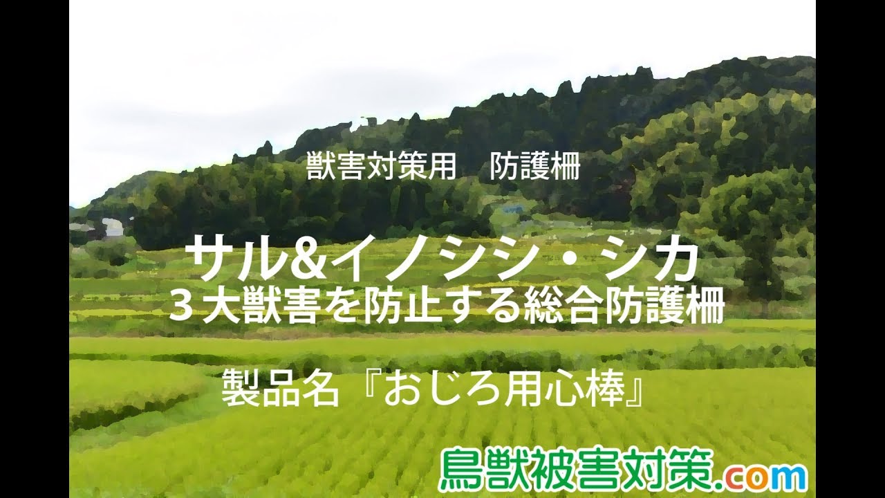 サルの侵入を防ぐ複合型侵入防止柵「おじろ用心棒」