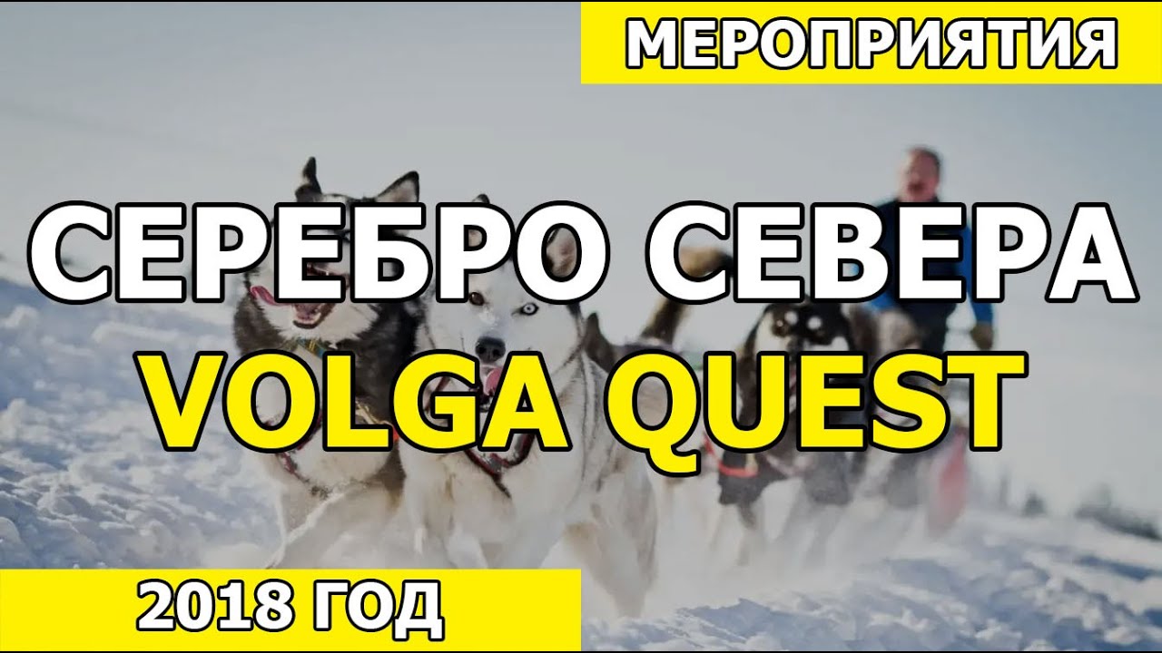 Гонки на собачьих упряжках в клубе Серебро Севера или Volga Quest в Тольятти.