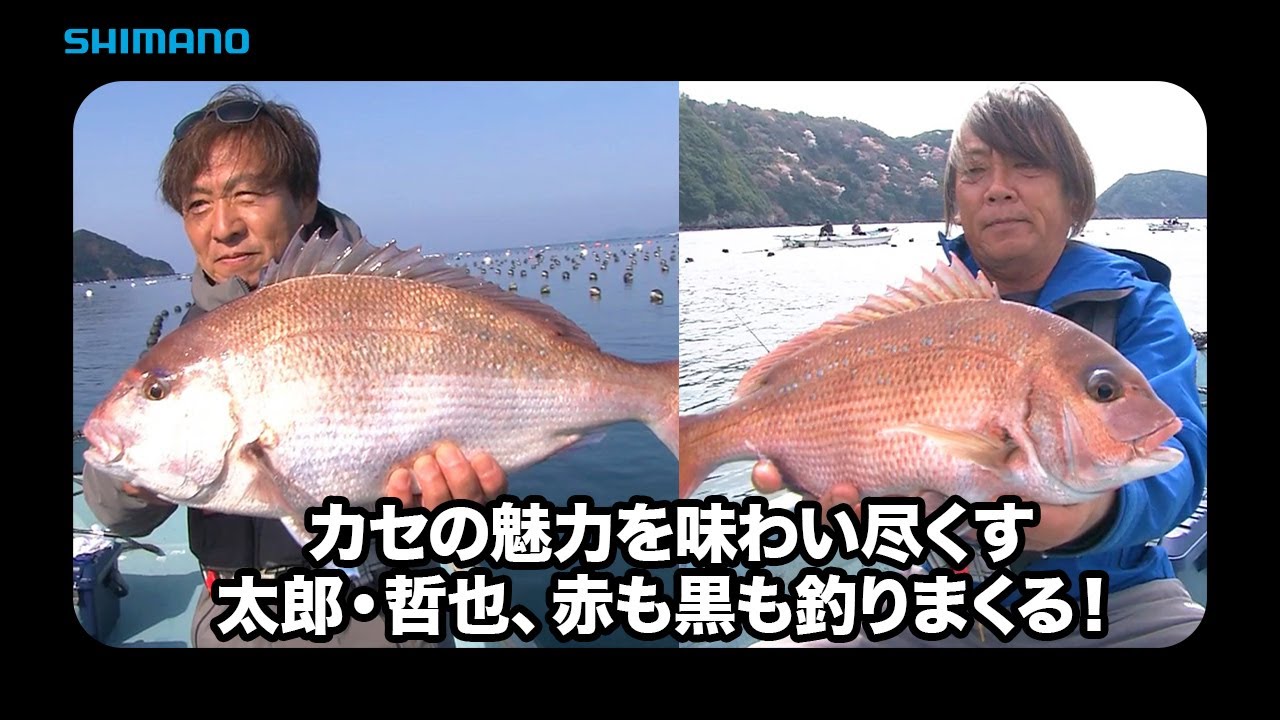 【おとな釣り倶楽部】山本太郎と高橋哲也、カセを遊びつくす、宇和島で味わう至福の時間