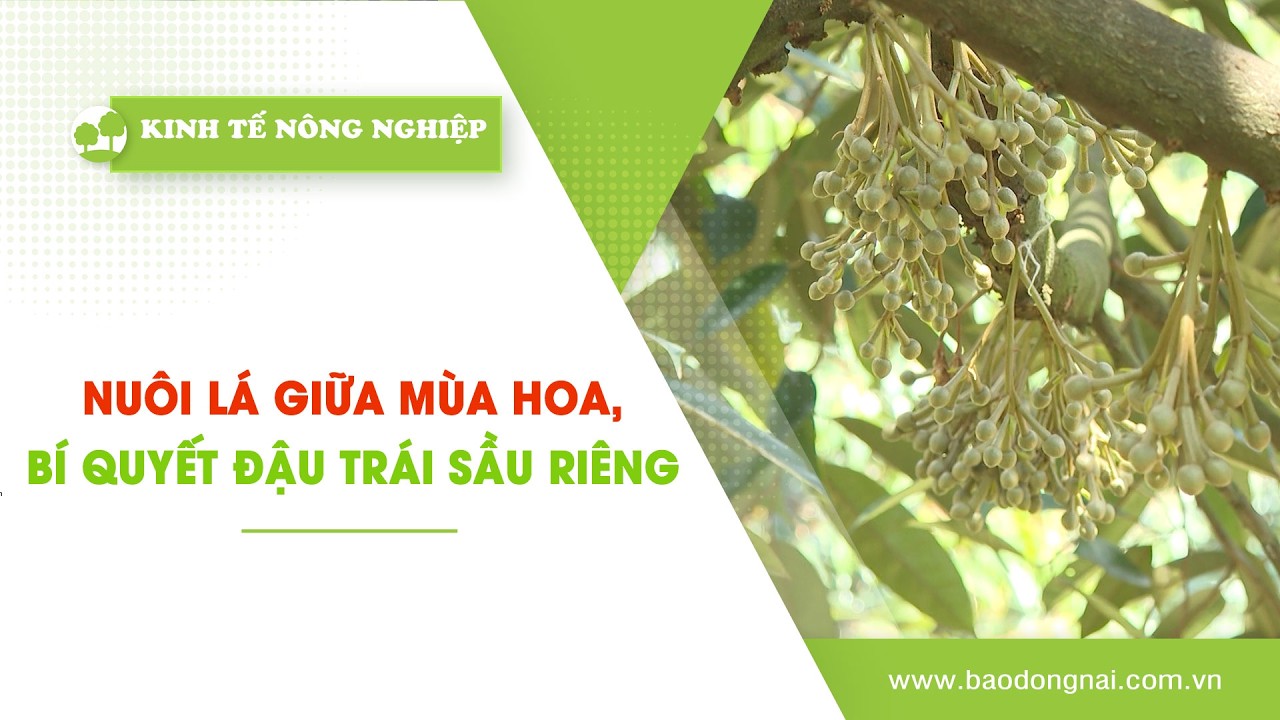 🍀 Kinh tế nông nghiệp 4-3-2026 | Thông tin hữu ích || ĐNNRTV