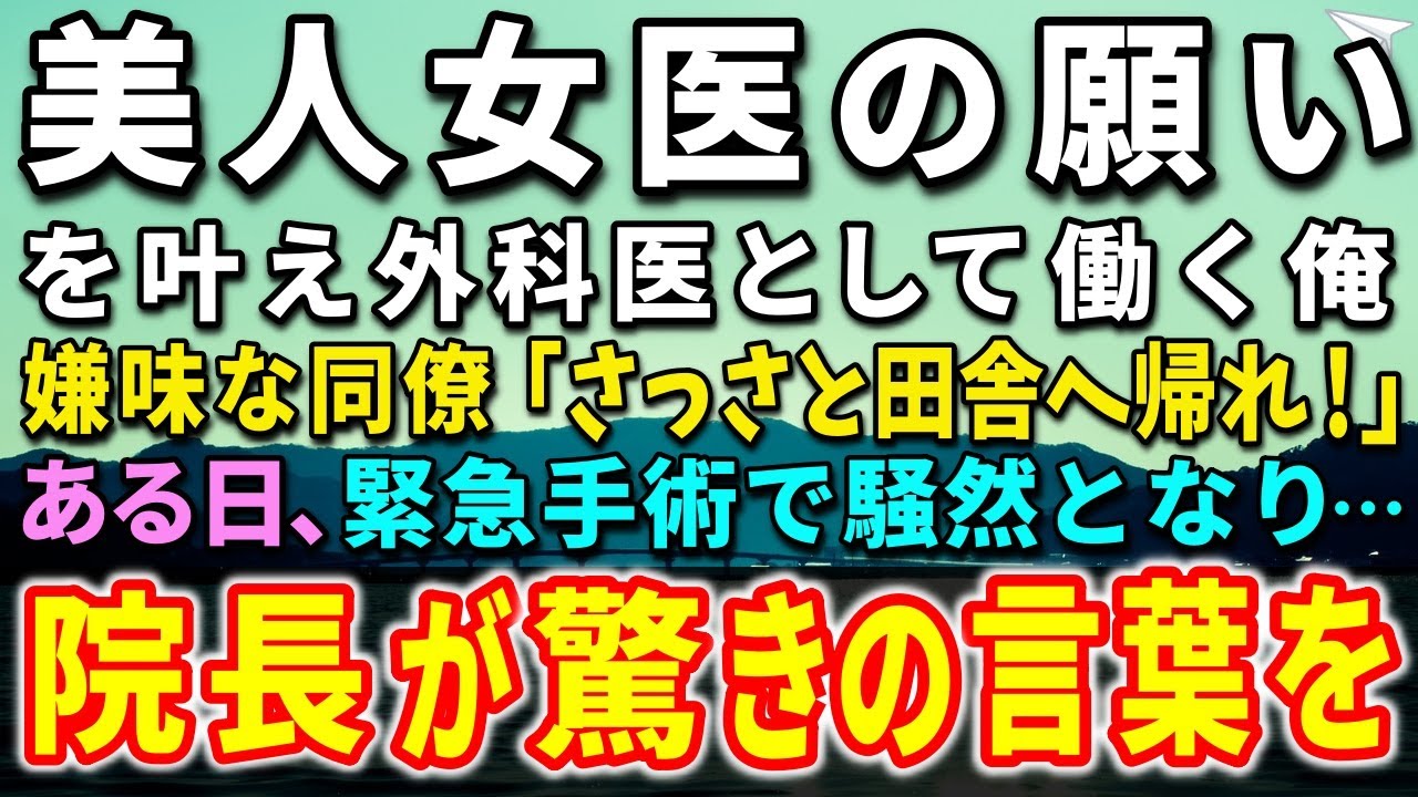 【感動する話】田舎の診療所で医師として静かに暮らす俺。突然、大病院から連絡があり上京。目の前に美人女医が現れ願いを叶えることに！そんなある日、緊急手術で院内が騒然となり…院長が驚きの言葉を【泣ける話】
