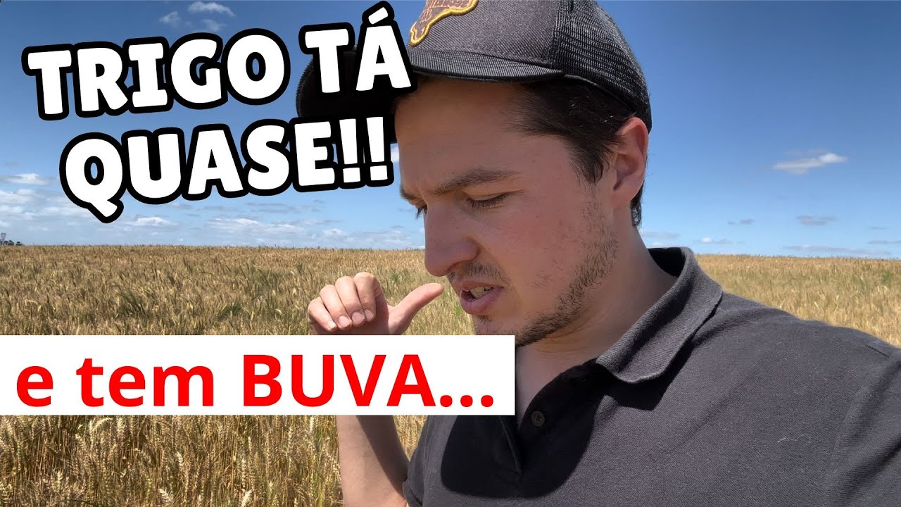 ESSA LAVOURA VOU TER QUE DESSECAR!!