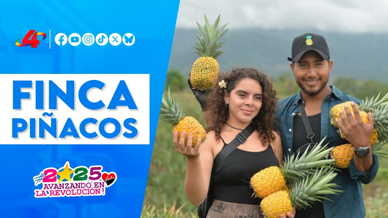 🍍 Descubre la Finca Piñacos en Ticuantepe: naturaleza y piñas en su esplendor 🌿