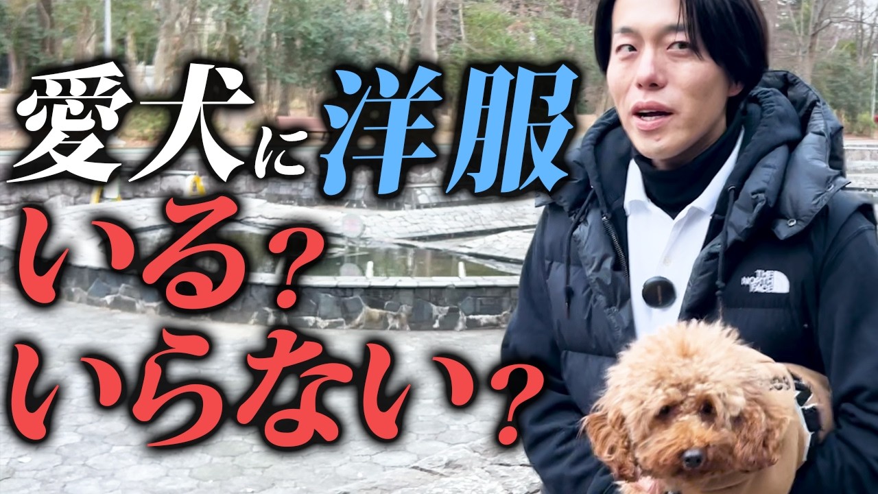 【プロの本音】犬の洋服着せる派vs着せない派。警察犬ドッグトレーナー本気解説