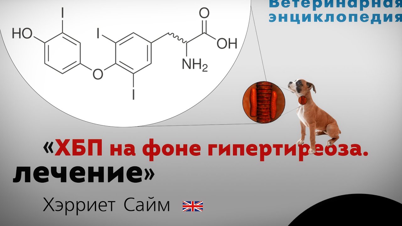 ХБП на фоне гипертиреоза. Лечение. Hyperthyroidism and CKD