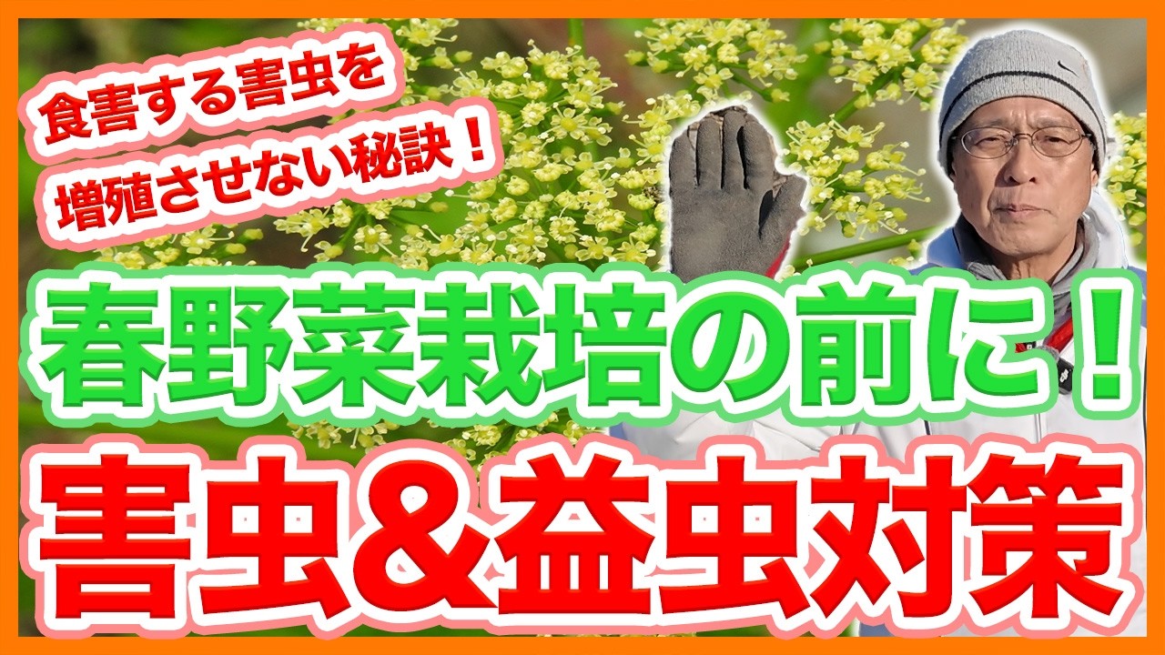 家庭菜園や農園の春夏野菜栽培は益虫に守ってもらう！害虫対策と益虫の生かし方と春夏野菜の育て方！【農家直伝】