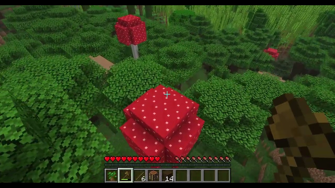 阿酷的minecraf原味生存1