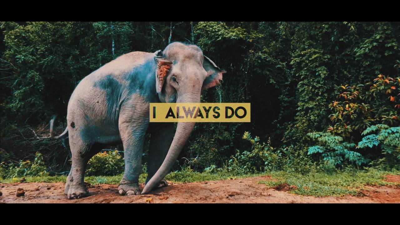 Great Good Fine Ok - Always (Lyric Video)