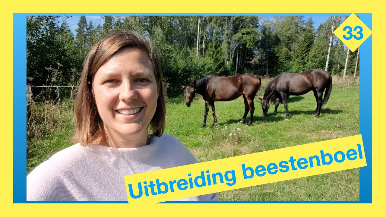Uitbreiding beestenbende & genoeg klusjes rondom het huis -  Vlog 33