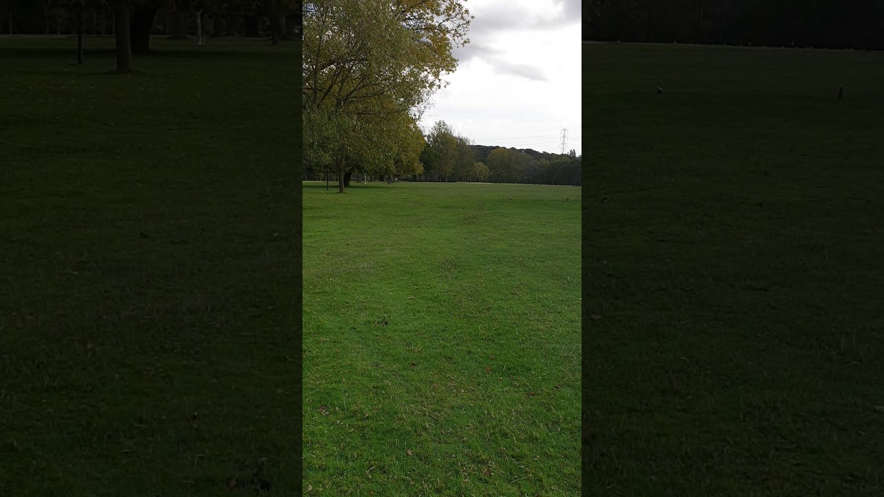 Errol - 14th first time ever not passing the ladies tee - Yeah right