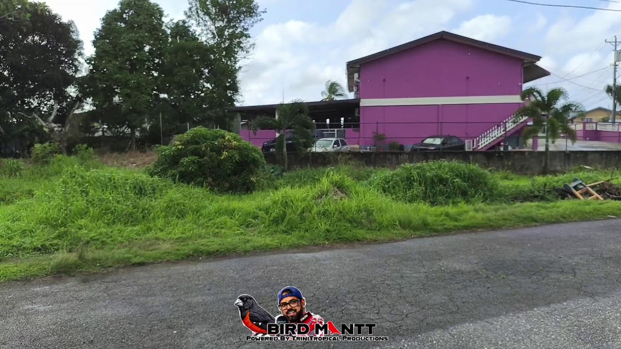 Live @ Ecopark Feb 3rd 2026 morning shy