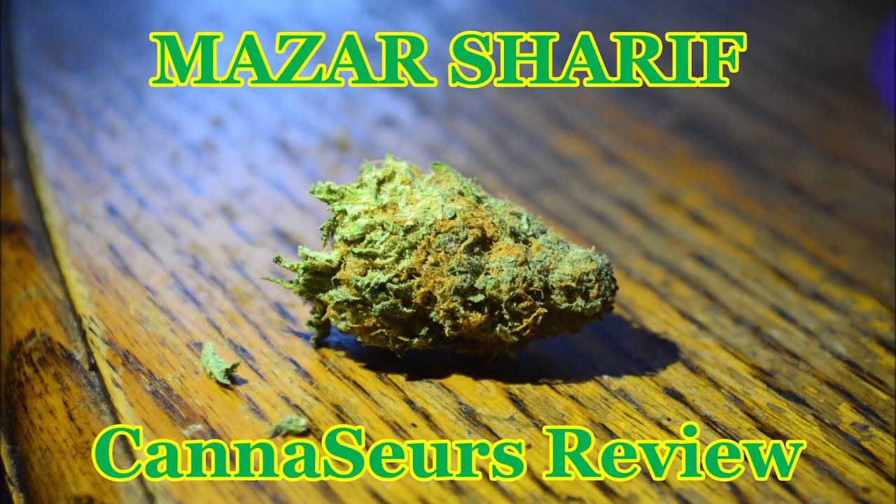 Mazar Sharif 420 CannaSeur Strain Review