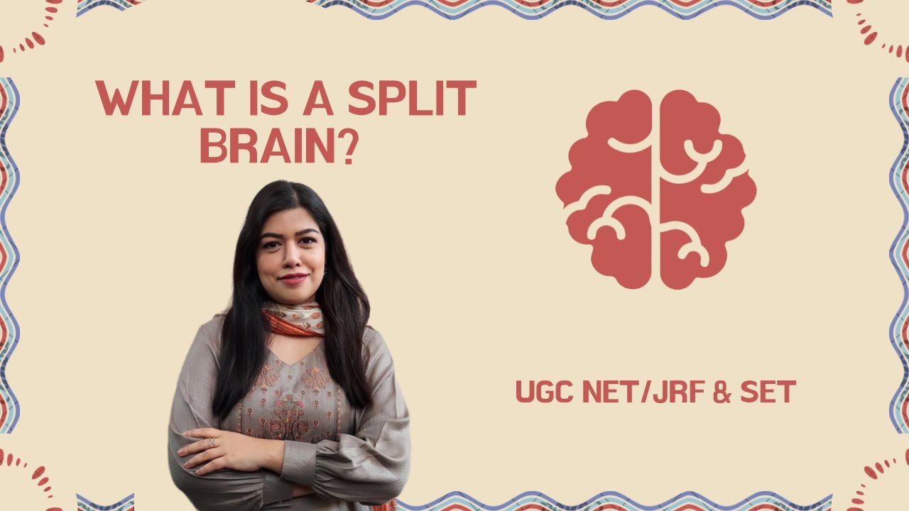 WHAT IS SPLIT BRAIN? | BRAIN | BIOLOGICAL BASIS | NET/GATE/UPSC/CUET/MPHIL PSYCHOLOGY