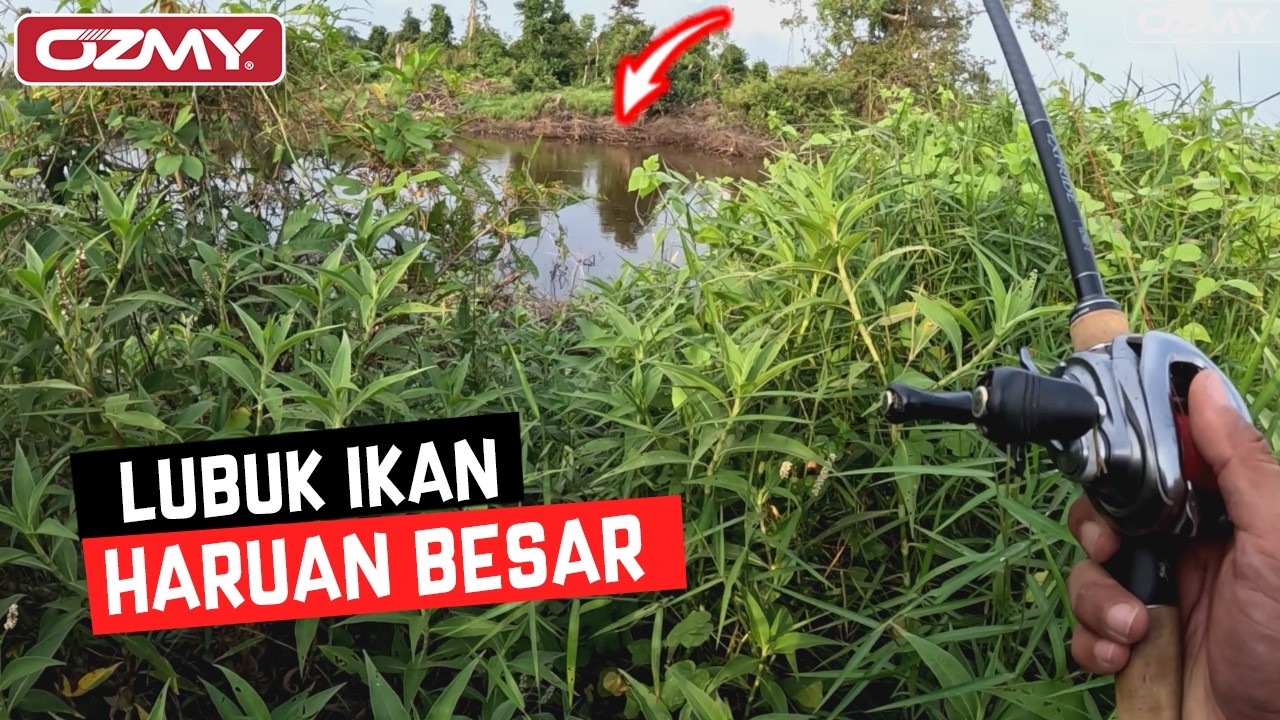 CASTING HARUAN GUNA SP OZMY PADDLE POP!