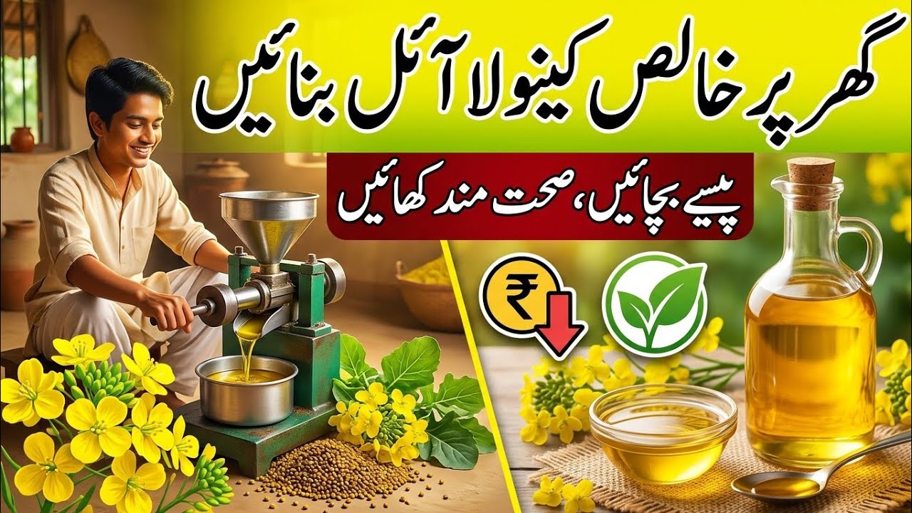 Make Your Own Pure Canola Oil at Home | Save Money & Eat Healthy