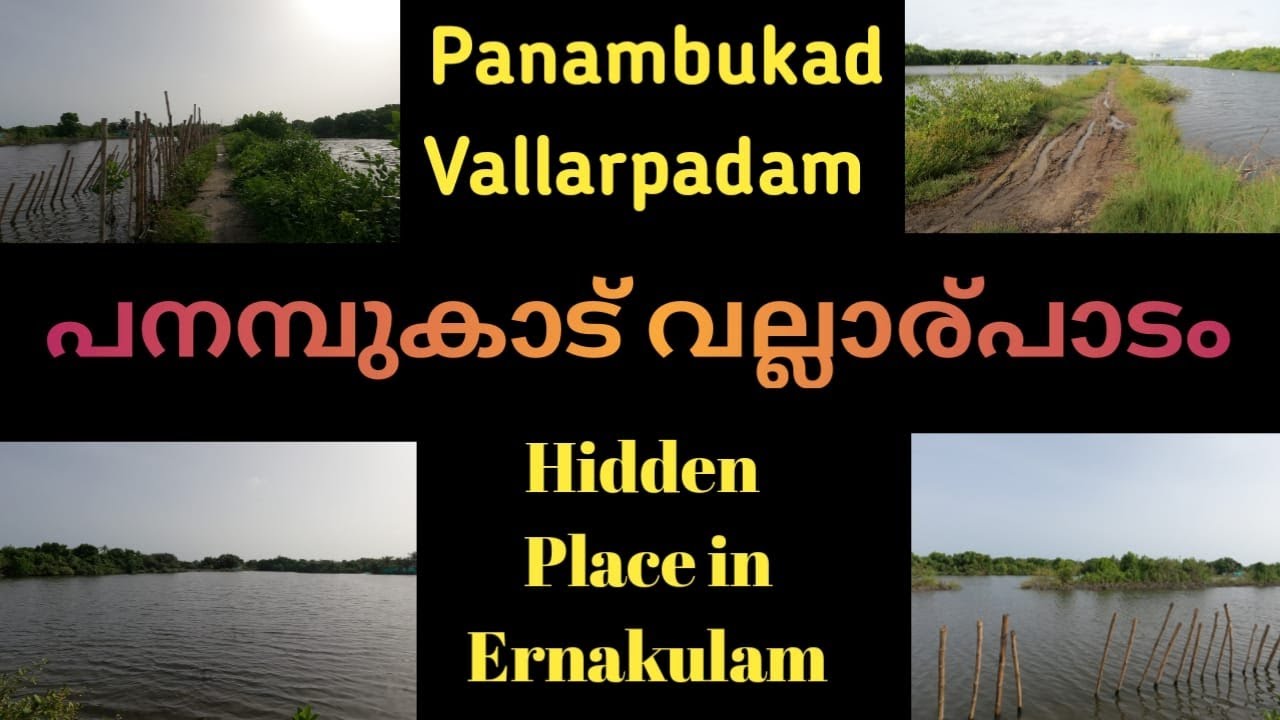 Panambukad, Vallarpadam Hidden Place in Ernakulam #kochi