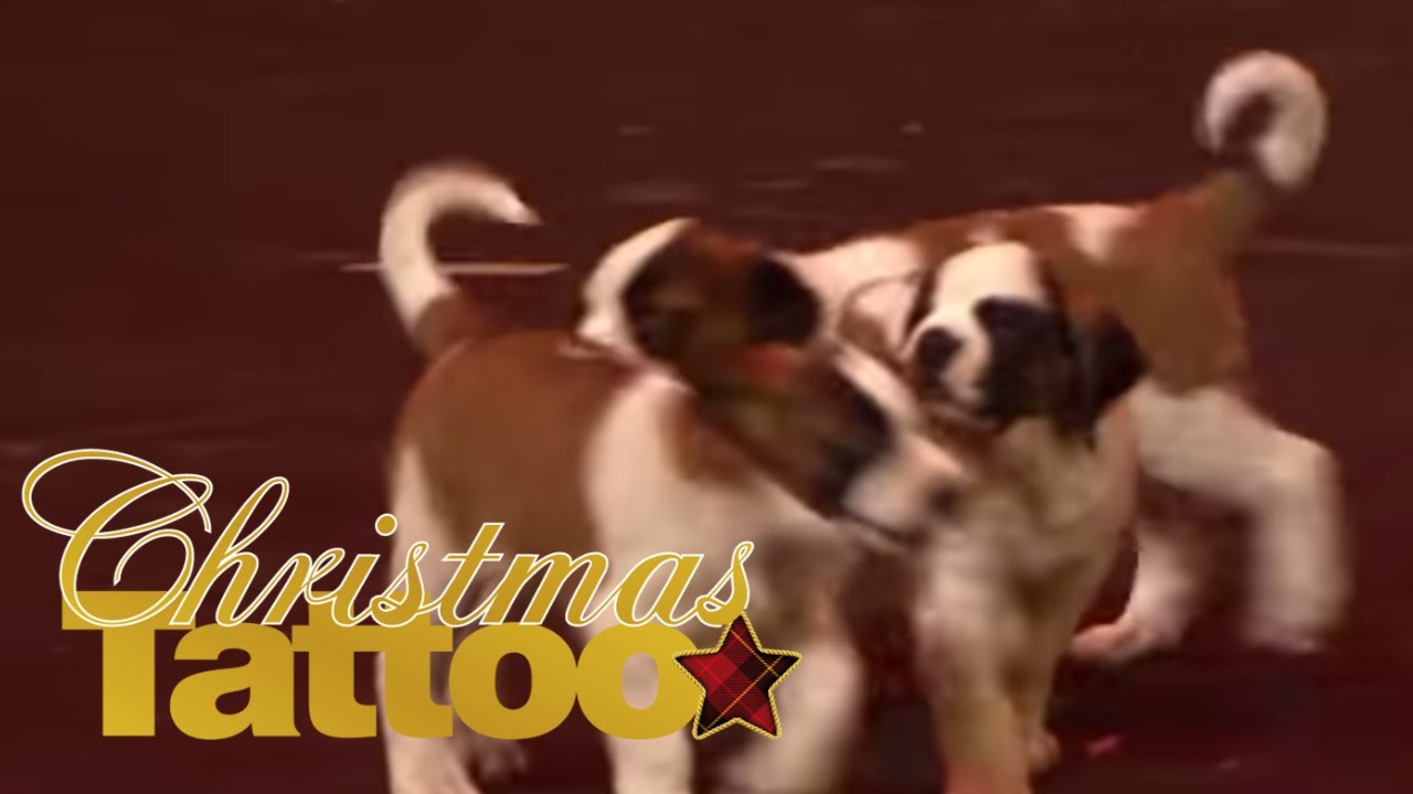 Christoph Walter: Trompetentraum | Christmas Tattoo | SRF
