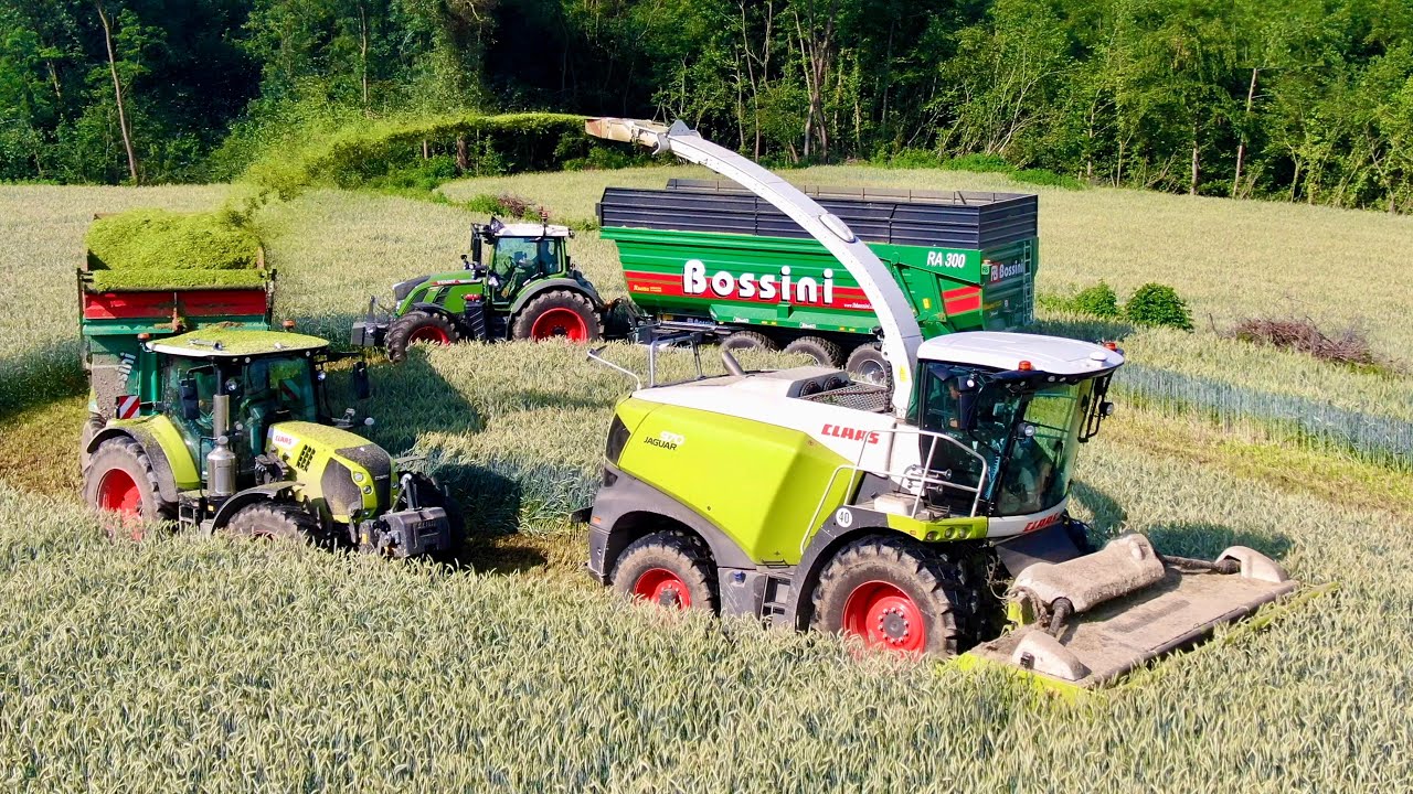 Claas Jaguar 970 - Axion 870 - Arion 660 | Fendt 724 | New Holland | Bossini | MASSIA