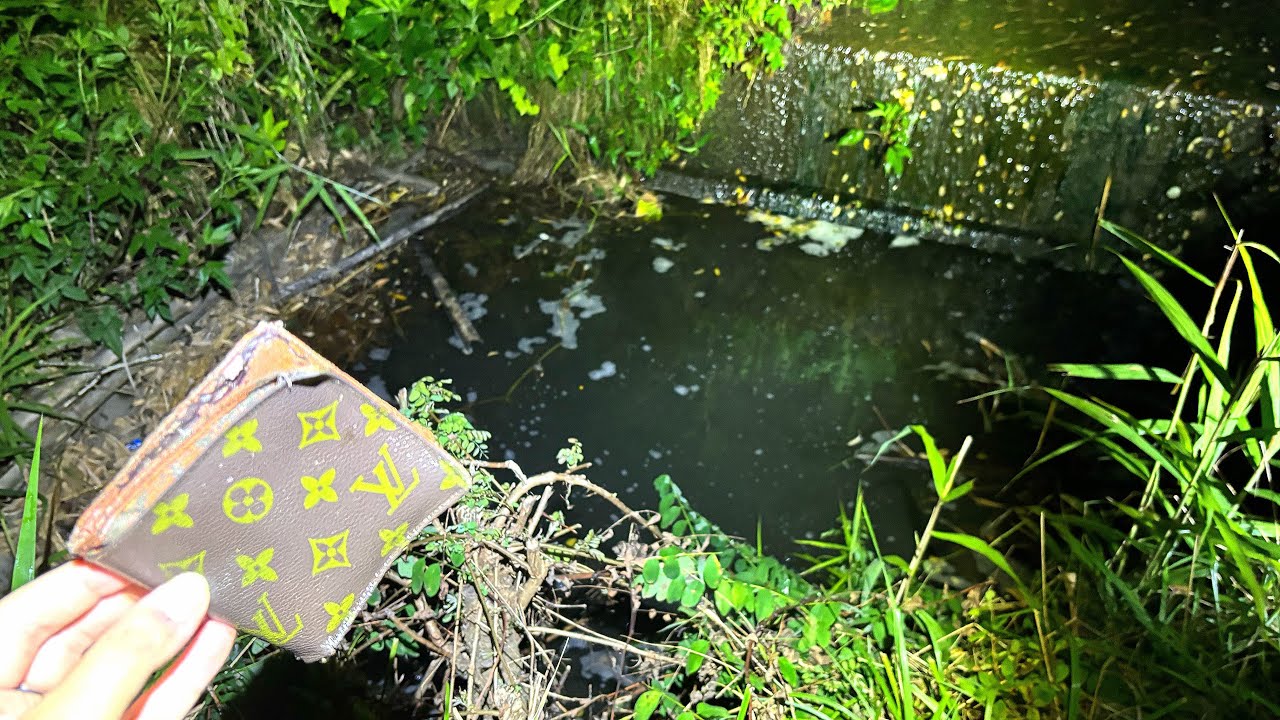 ヴィトンの財布が沈んでいた池に棲む生物とは？