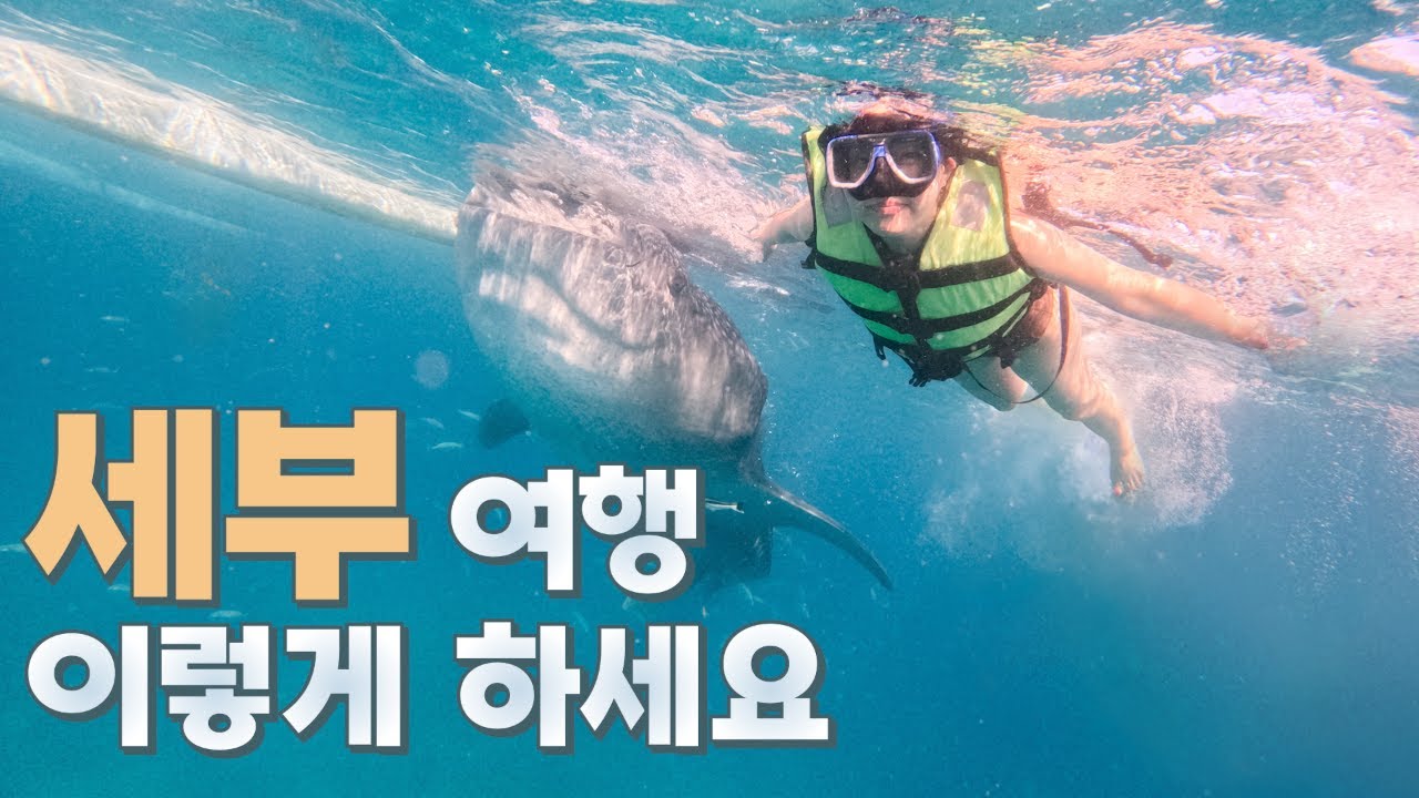 세부 여행 코스 딱 정리합니다! (오슬롭 고래상어, 모알보알, 캐녀닝, 막탄, 세부시티)