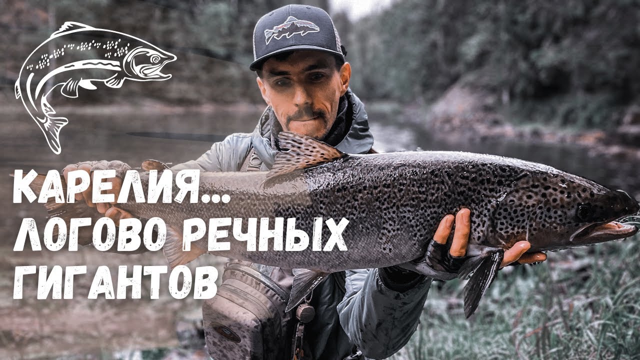 РЫБОЛОВНЫЕ ПРИКЛЮЧЕНИЯ В КАРЕЛИИ. Трофейный лосось и щука на спиннинг осенью. Рыбалка с друзьями.