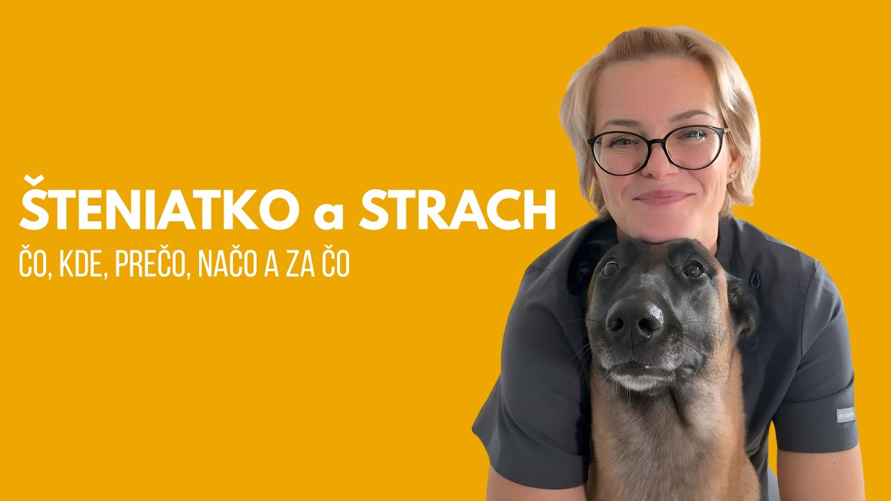 Váš pes sa zmenil zo dňa na deň?  O období strachu šteniat a dospievajúcich psov
