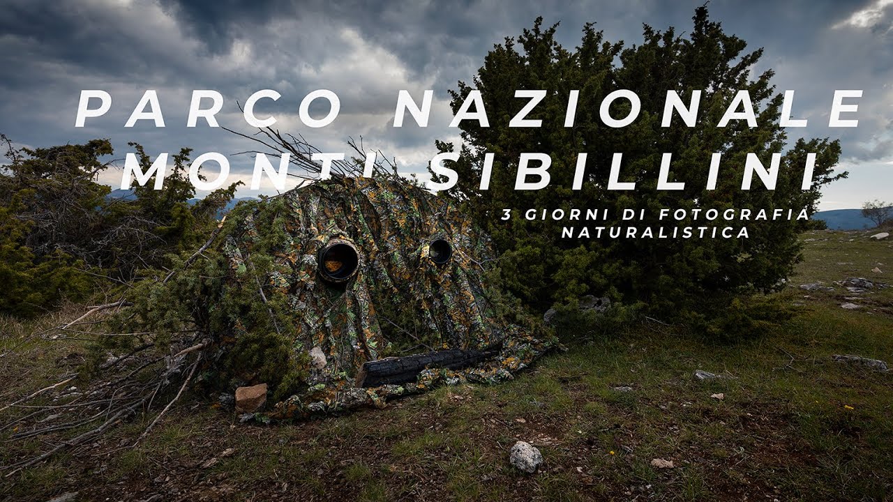 3 giorni di fotografia naturalistica | Parco Nazionale dei Monti Sibillini