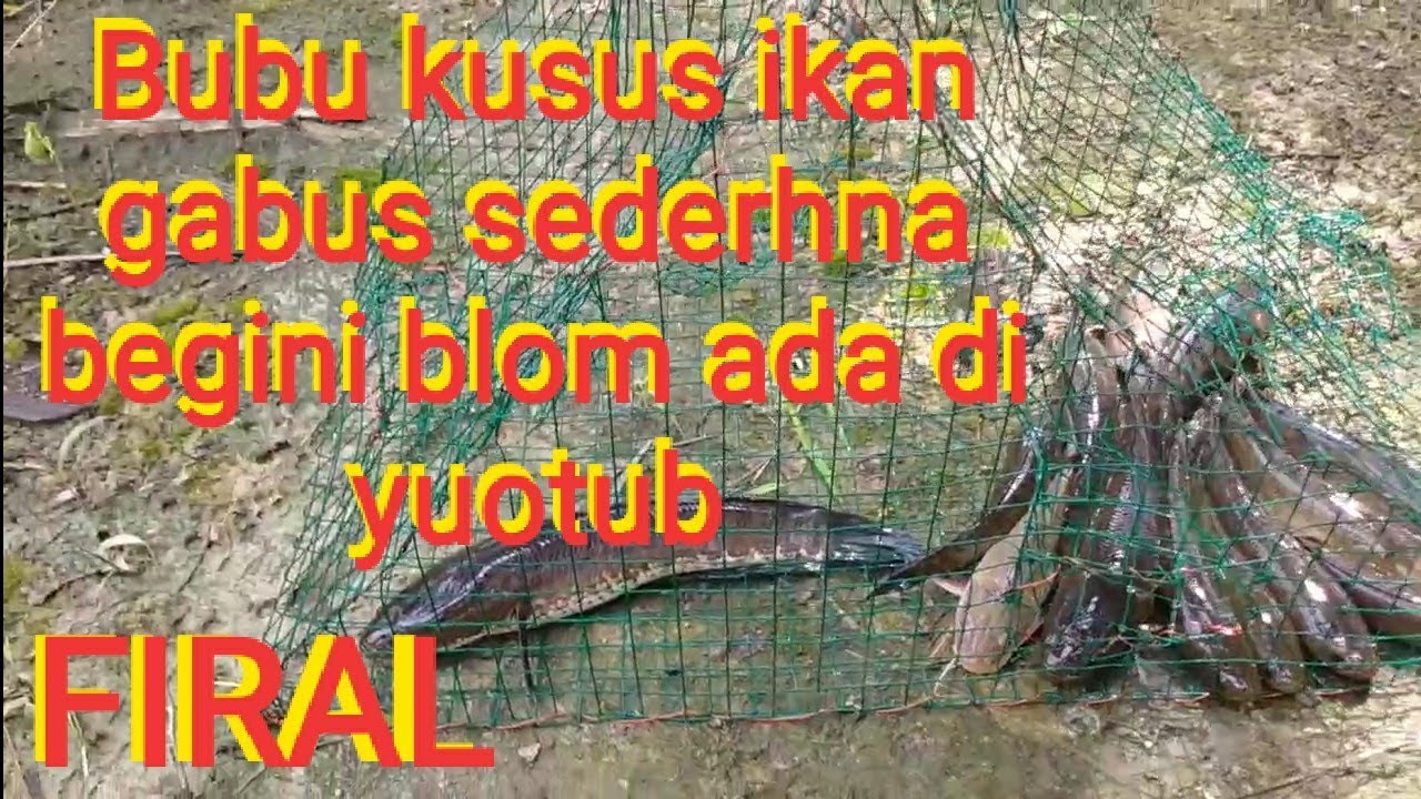 Bubu sederhana  ikan gabus begini blom ada di yuotub