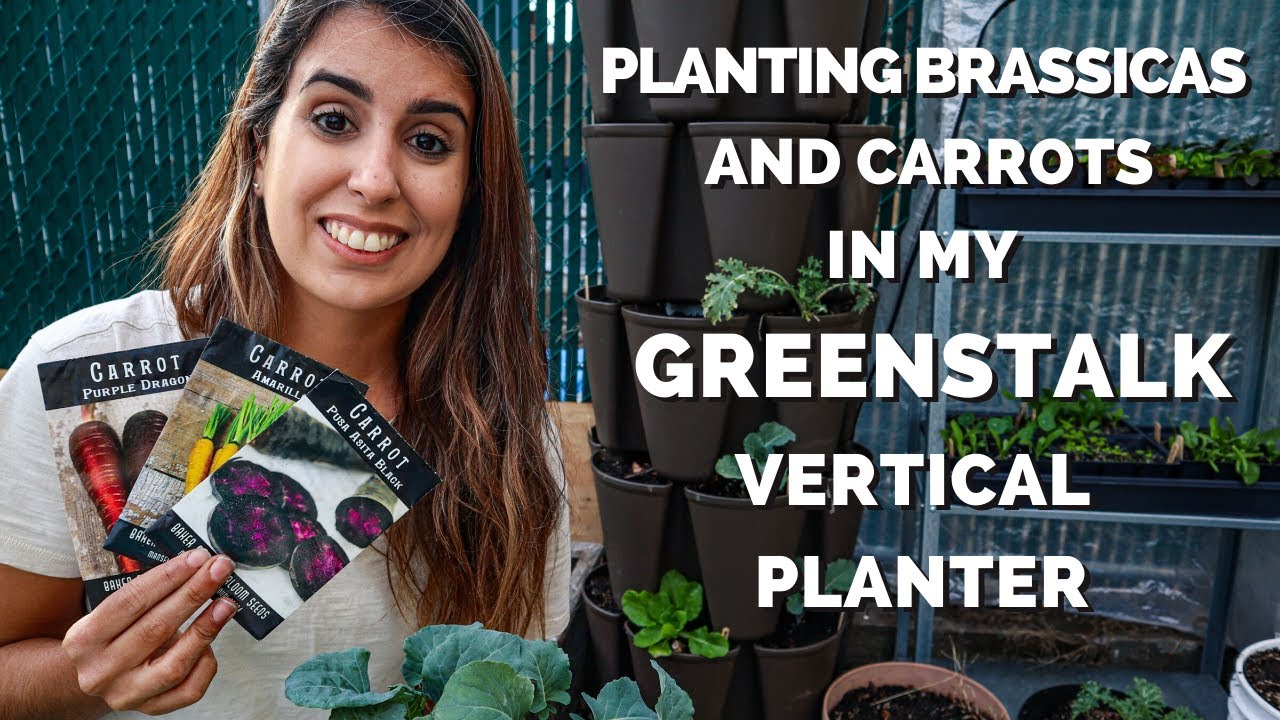 Planting Cool Weather Crops in My GreenStalk Garden | Urban Gardening in New York City | Zone 7b