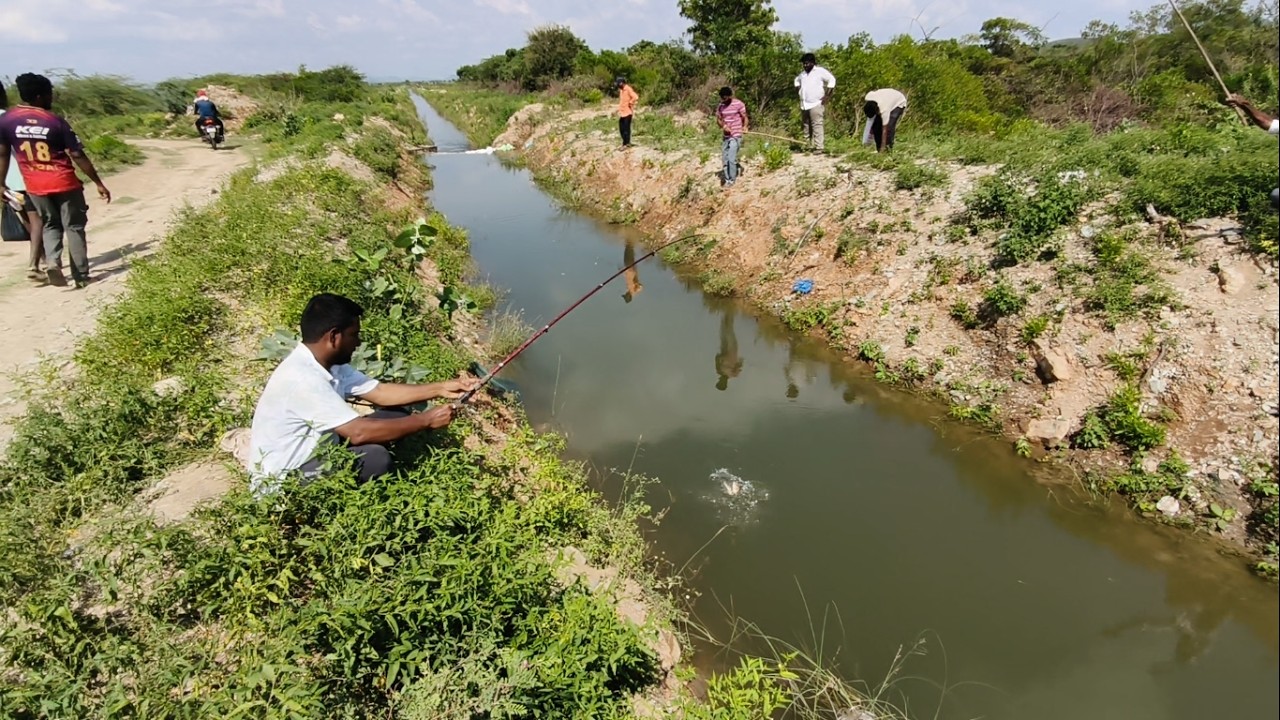YOU WON'T BELIEVE This Silent Killer in the Village Stream!  Big Tilapia Unleashed! 