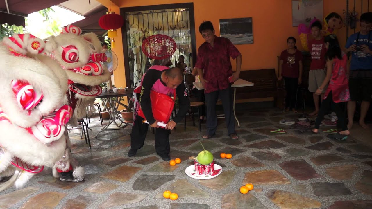 chinese new year 2013 lion dance