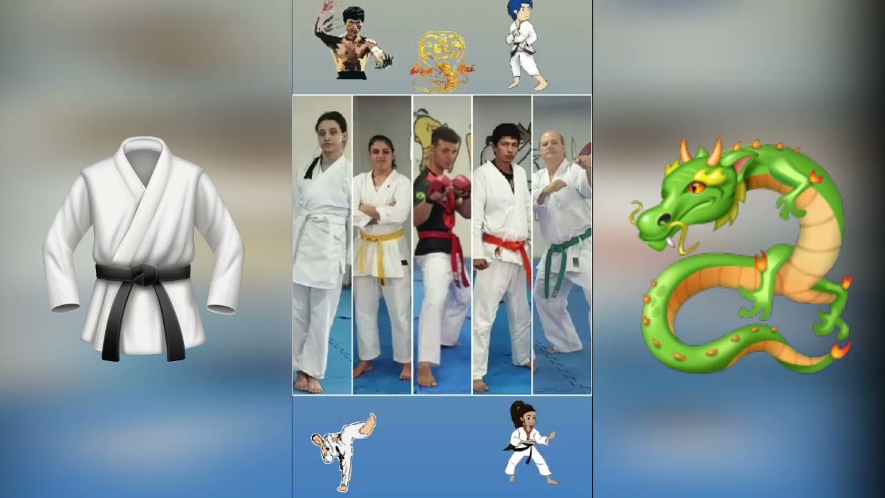 KARATÊ-DO - SHOTOKAN OS 5 KATAS DANS Da faixa BRANCA a faixa VERDE FINALIZANDO com  HANGETSU.