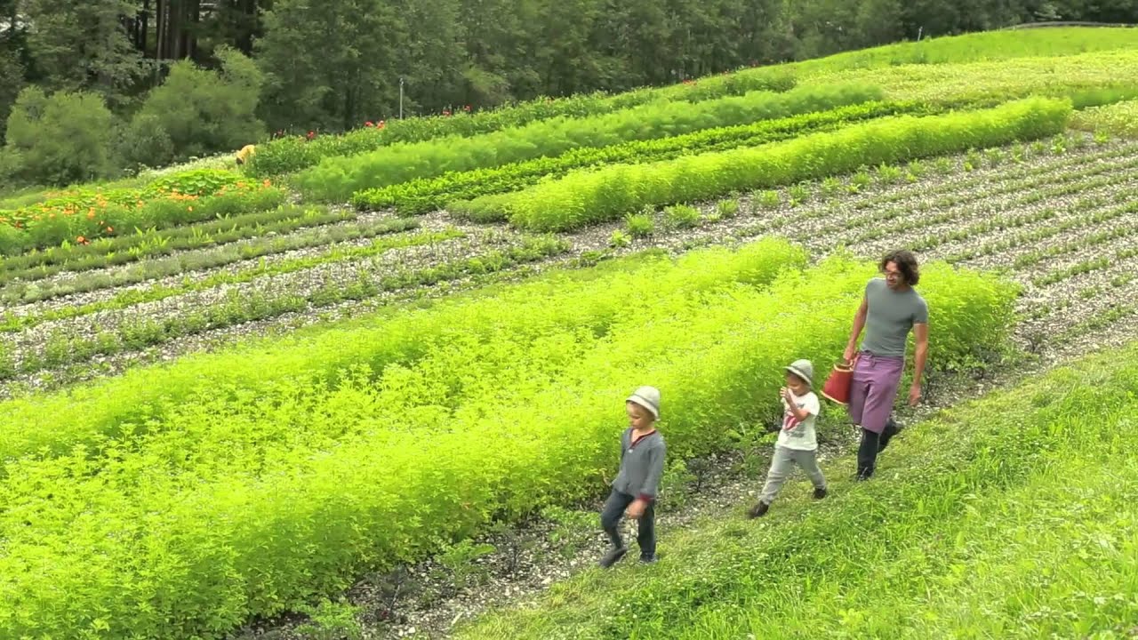 NiKuPas - Nischenkulturen in Südtirol