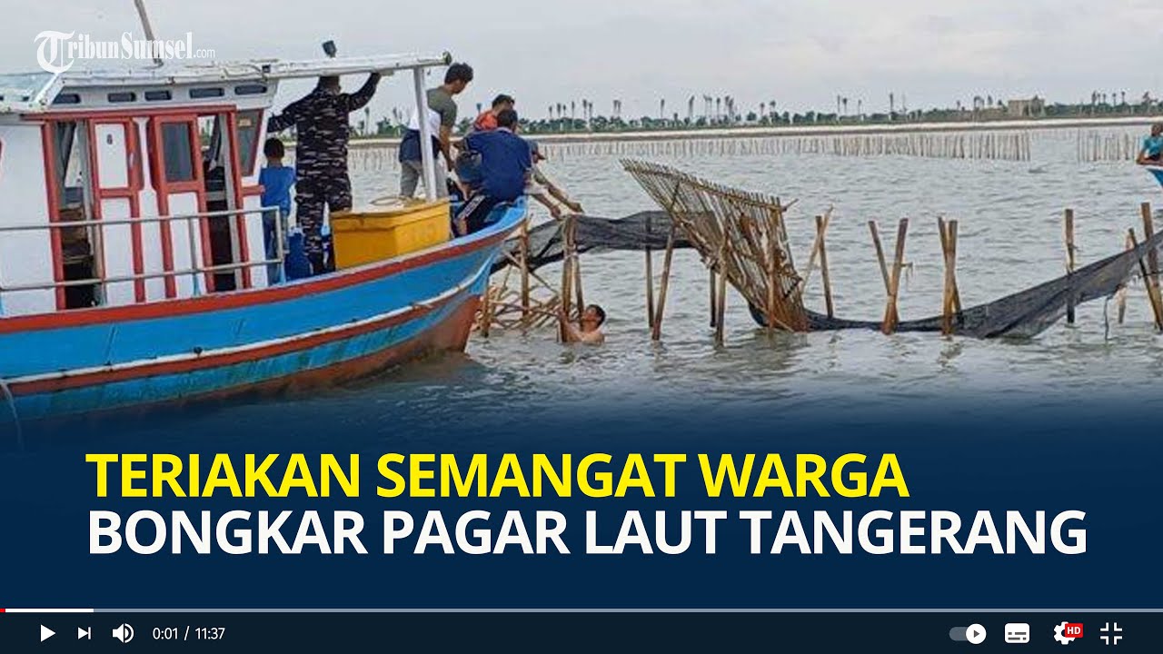 Mau Kaya Jual Laut, Teriakan Semangat Warga Bongkar Pagar Laut Tangerang, 600 TNI AL Ikut Bongkar