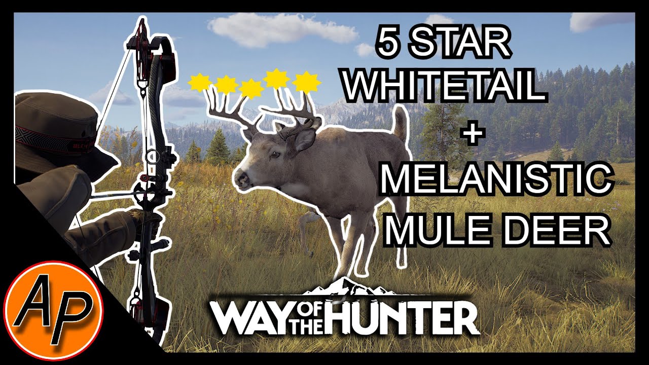 HUNTING A HUGE 5-STAR WHITETAIL USING NEW HERD MANAGEMENT STRATEGIES!!! | Way of the hunter