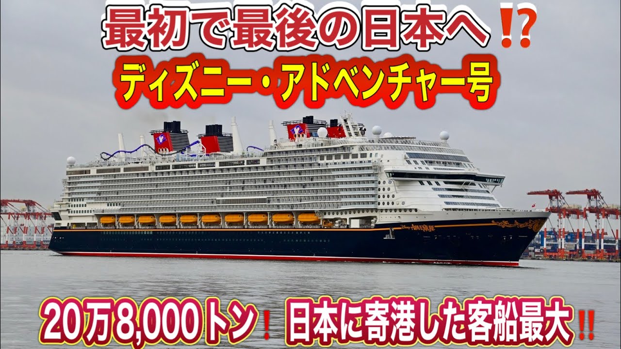 最初で最後‼️ディズニー・アドベンチャー号が日本に寄港😍【2026.2.24】日本寄港最大の客船‼️