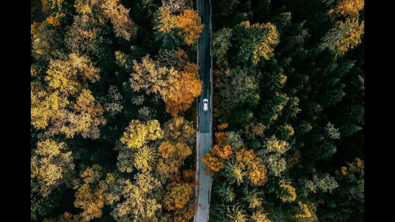 Autumn colours!