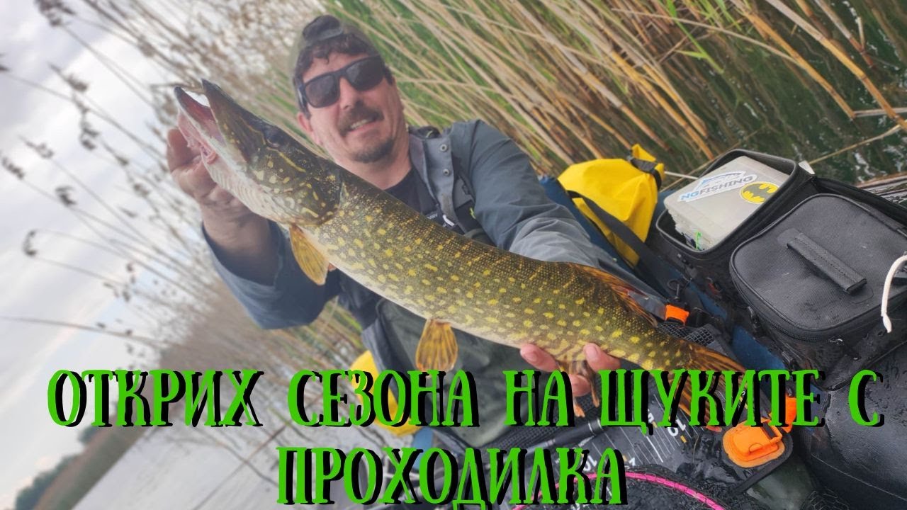 Щуки с Проходилка