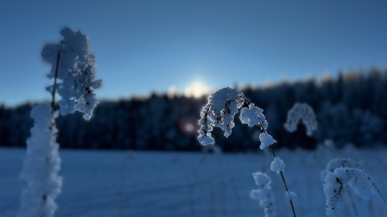 7 Minutes of Peace❄️Relaxing Snowy Landscape with Calm Music.#snow #winter #subscribe #vairalvideo 