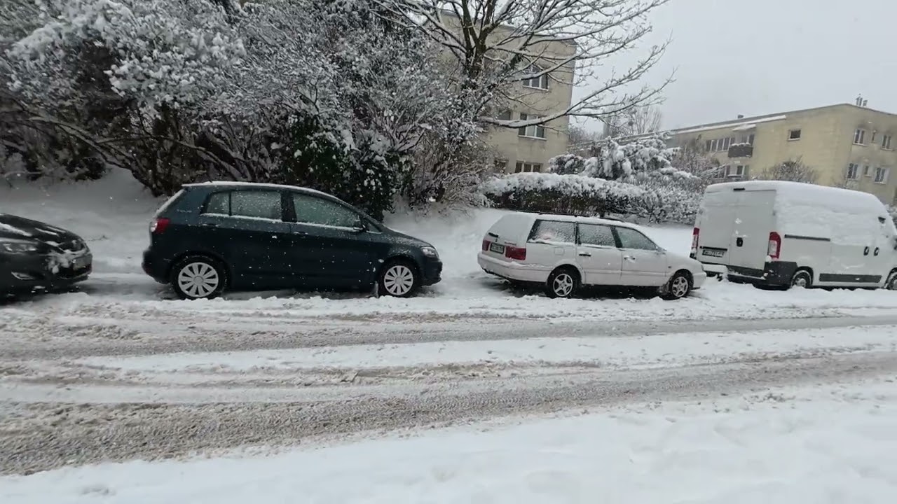 Park Moczydło / Lasek na Kole 01- 01- 2026R 4K