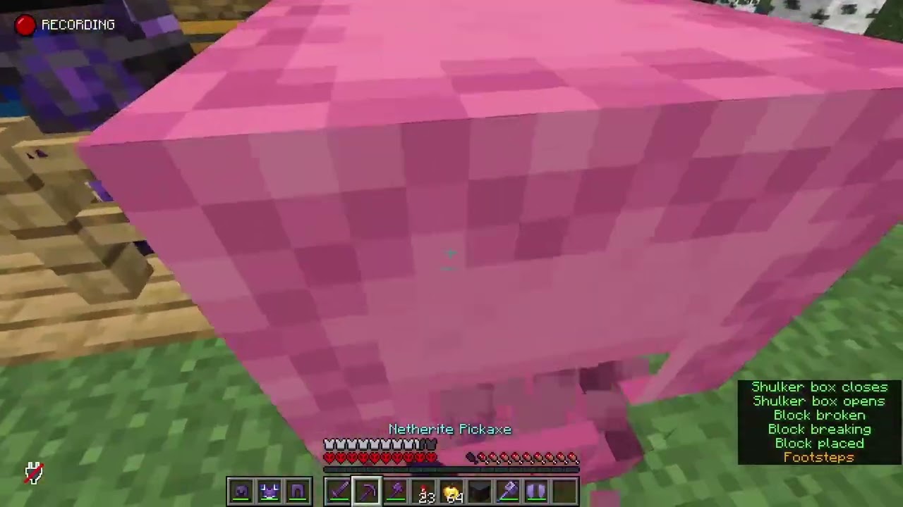 The shop?