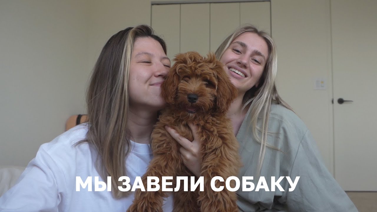 100. КАК МЫ РЕШИЛИСЬ НА ПОПОЛНЕНИЕ?