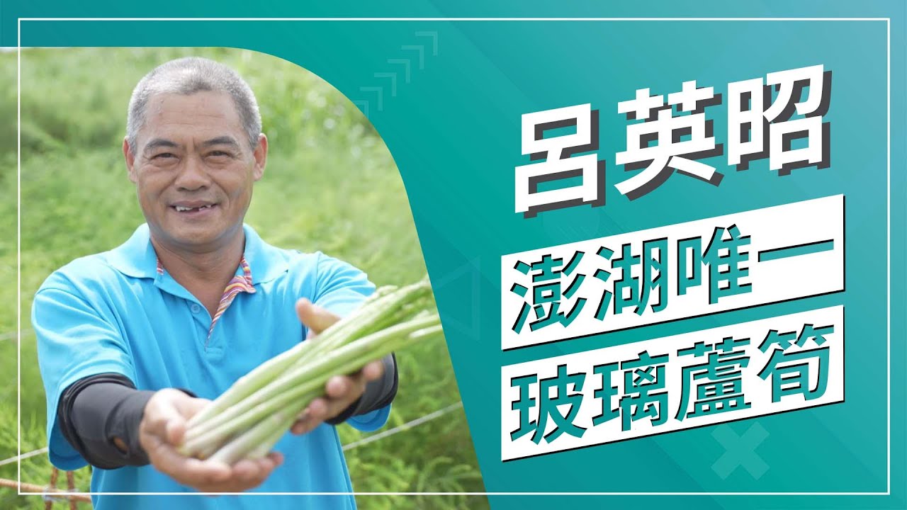 種出玻璃蘆筍要靠「變性」、「刮鬍子」 採收還要看時辰？｜草地狀元 (2022.7.25播出)｜澎湖