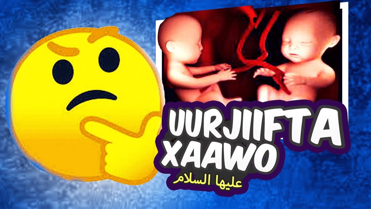 Sidee Ku Tarannay Maxayna Tahay Sababta Xajmiyada Dadku Usii Yaraanayaan? | Haabiil Iyo Qaabiil |