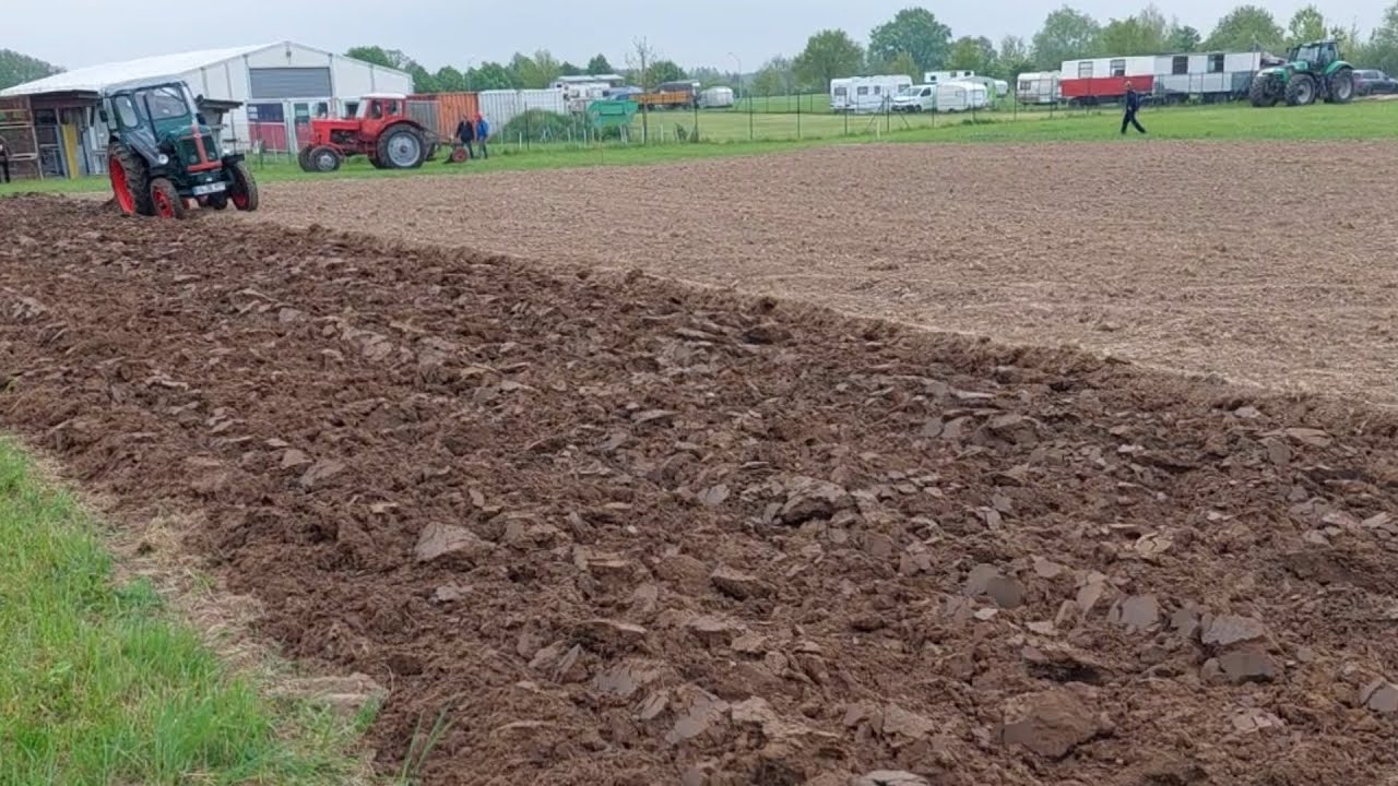 Belarus MTS und Famulus 40 beim pflügen 🚜