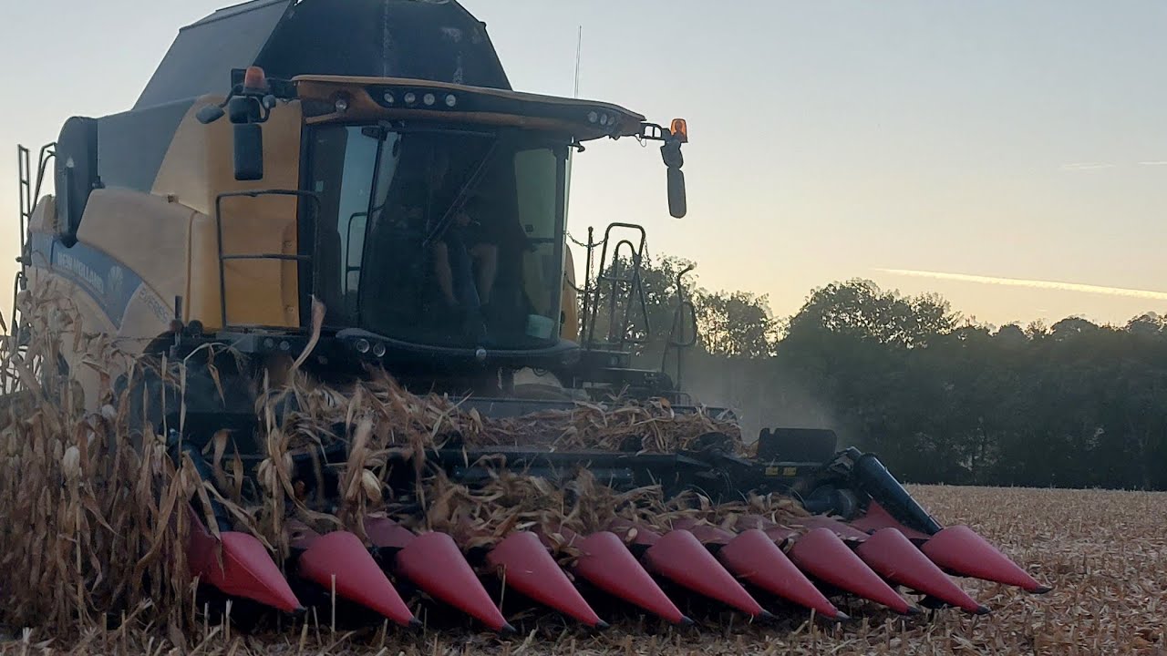 🟡MOISSON DE MAÏS 2023 /New Holland CX 8.80 /Cueilleur  capello 9 rang 🎬