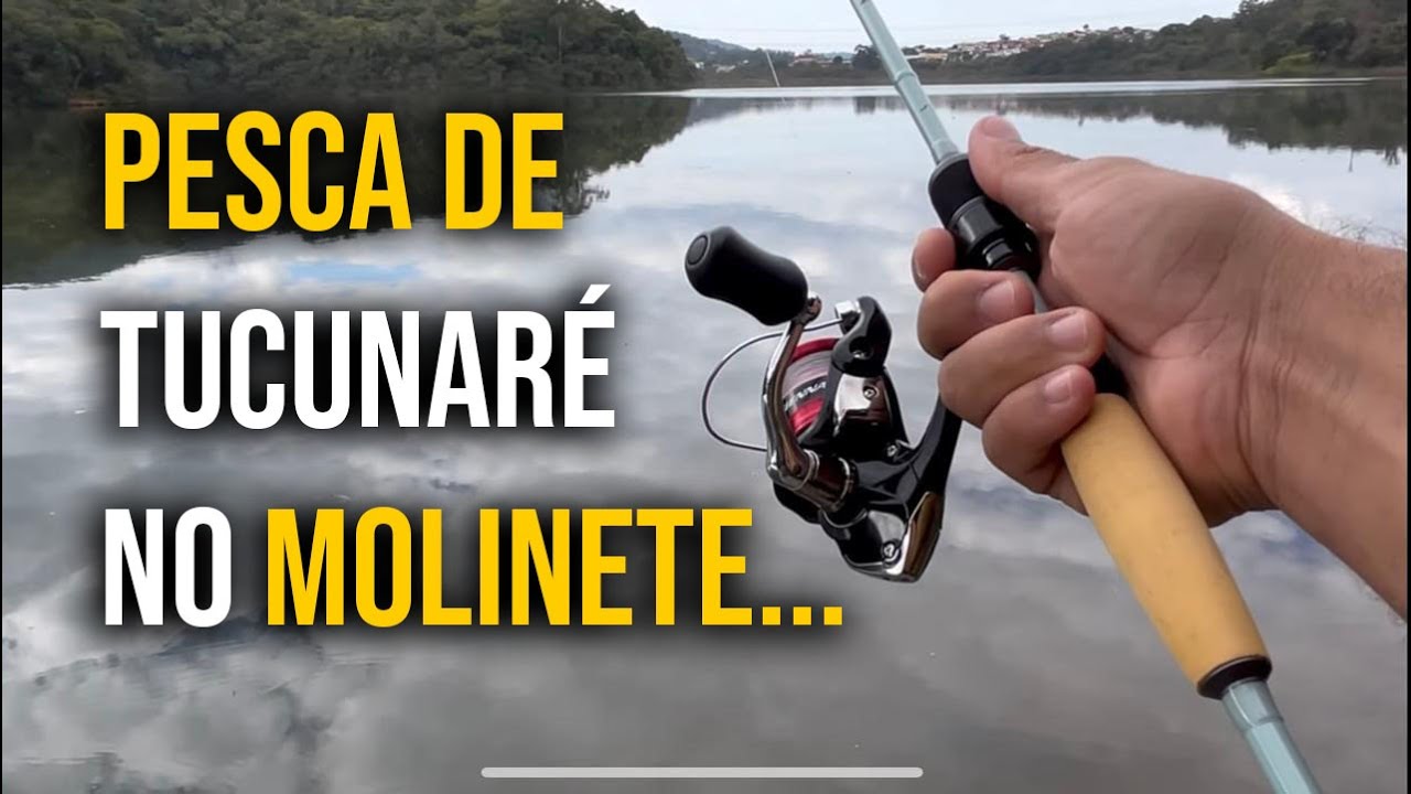 Tucunaré no Molinete é Briga Garantida.