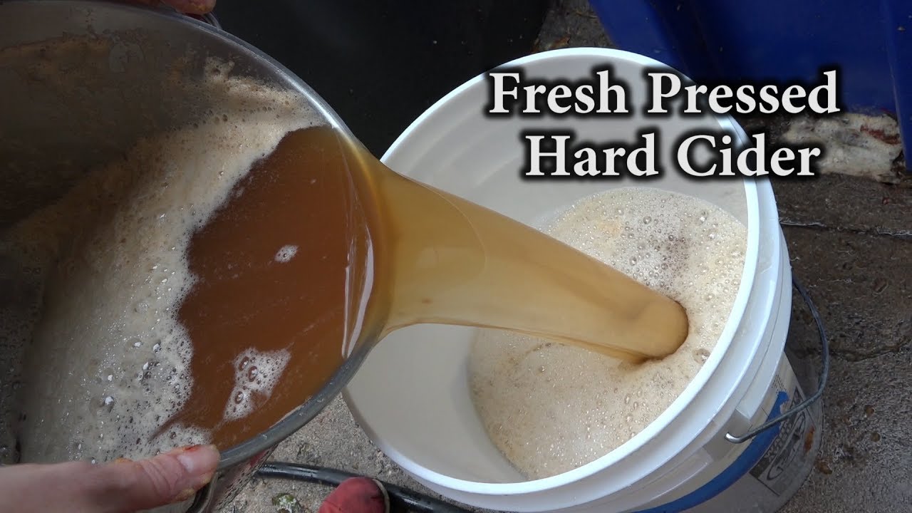 Fresh Pressed Hard Cider