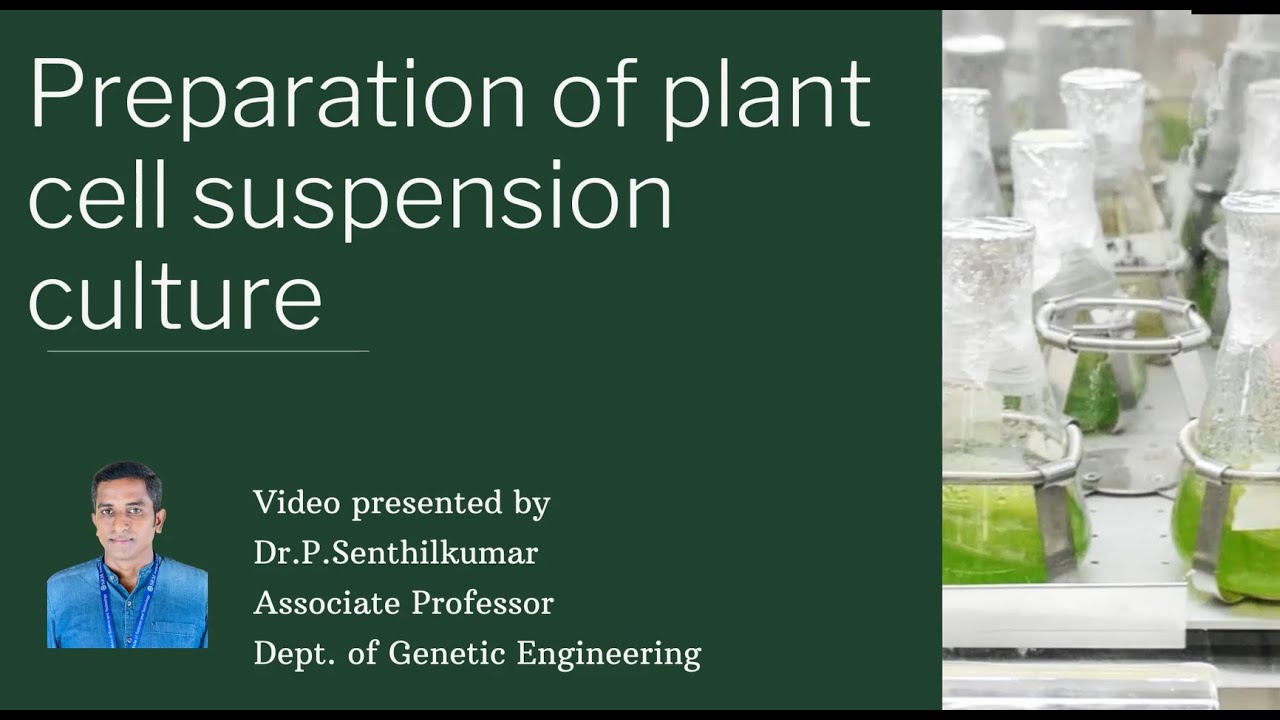 Preparation of Plant Cell Suspension Culture |Plant Biotechnology |Dr. P Senthilkumar |Genetics| SRM