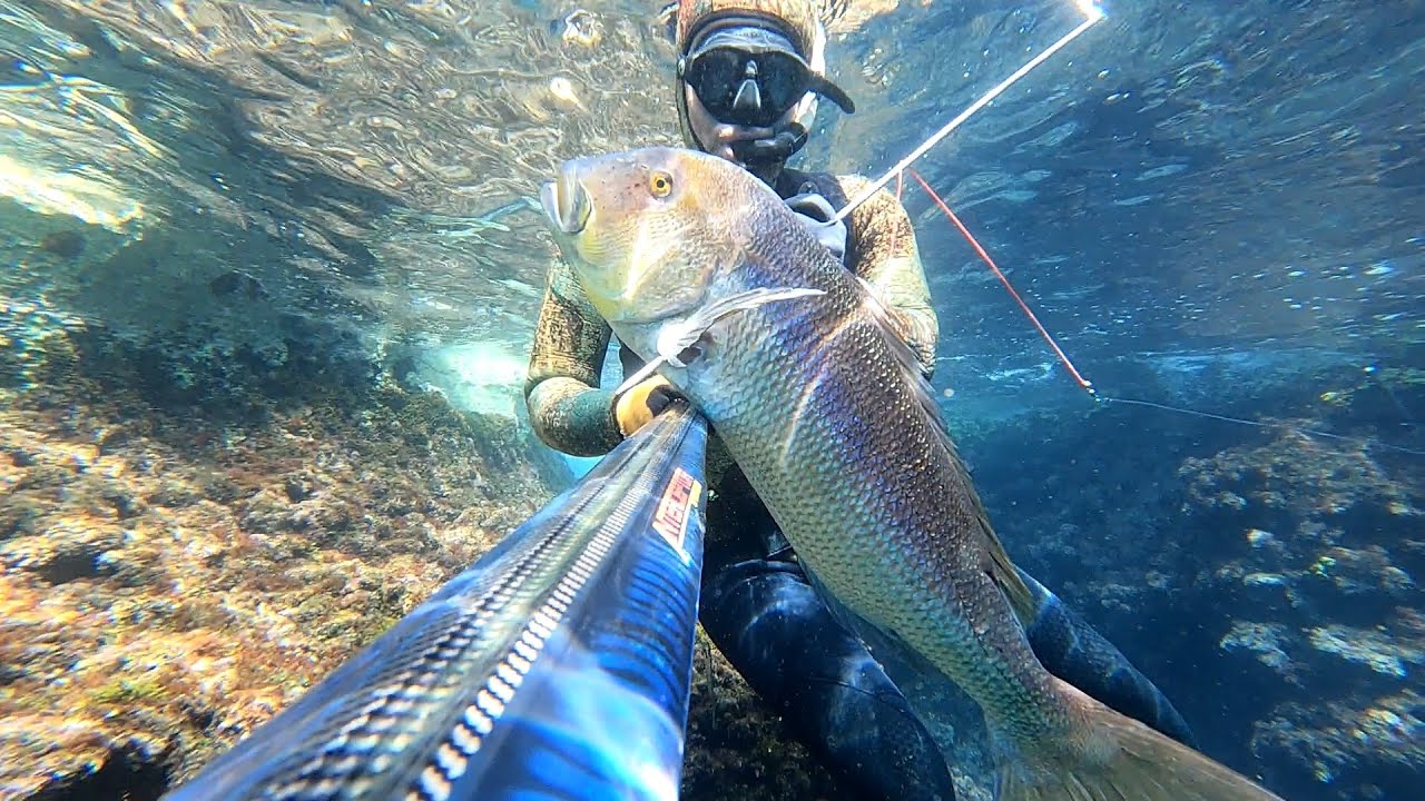 Spearfishing adventures in Dubrovnik 2023&2024